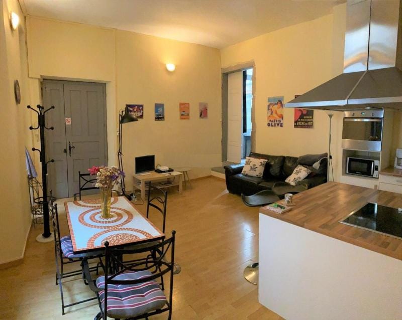 Grand T3 à coté Musée /Place Carnot/Centre Ville Apartment in Carcassonne