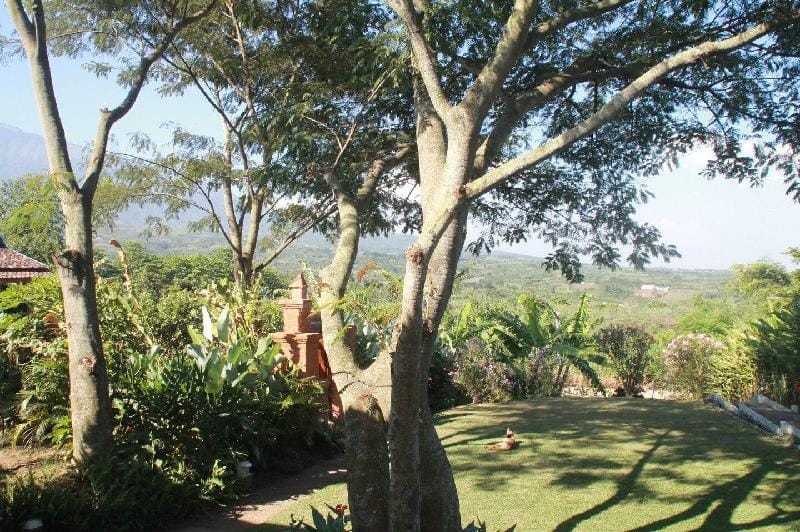 Batu Villas Villa in Batu