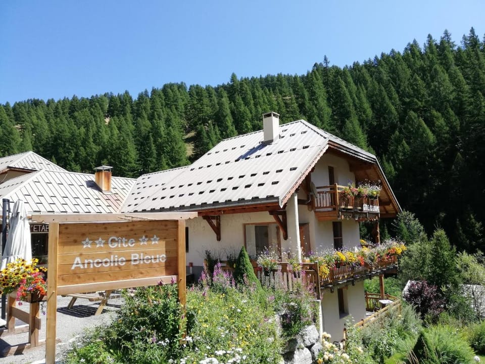Gîte Ancolie Bleue Bed and Breakfast in Piedmont