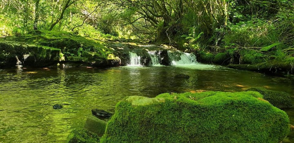 Molino de Yera Apartment in Cantabria