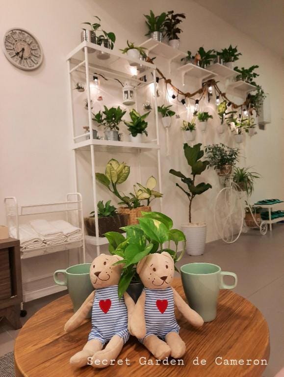 New (3BR) Penthouse Secret Garden, Night market Apartment in Brinchang