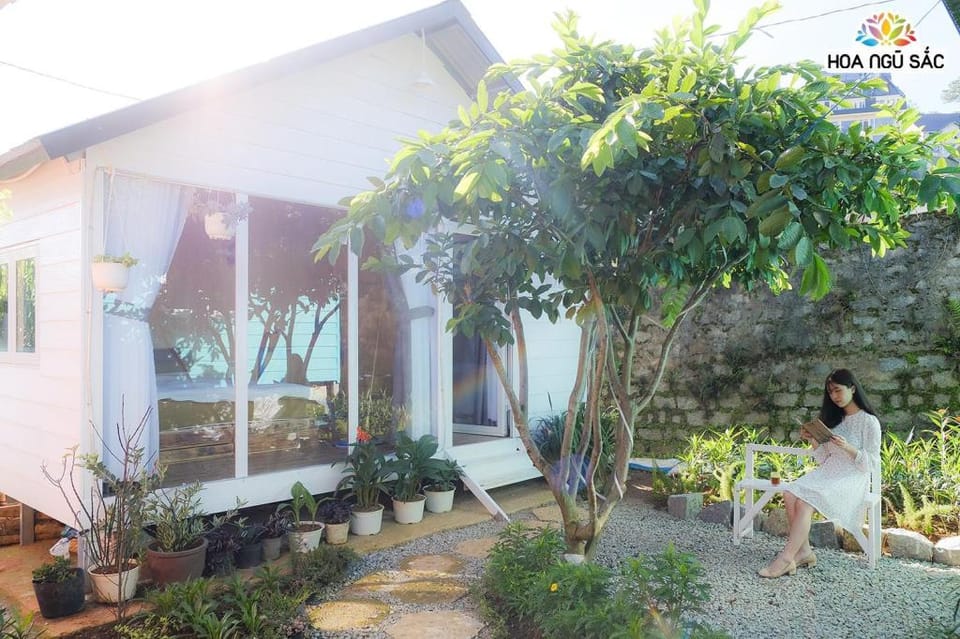 Hoa Ngũ Sắc Homestay Vacation rental in Dalat
