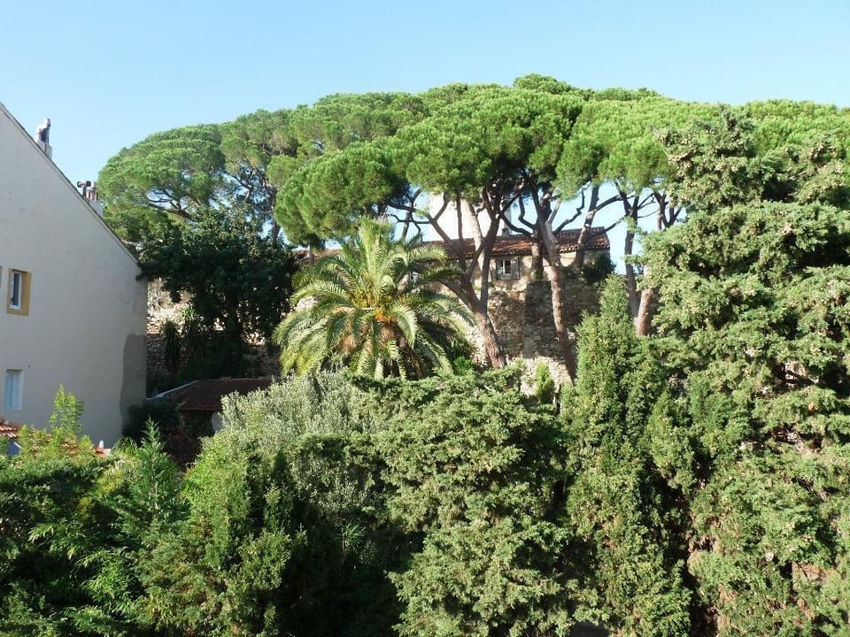 Charming 2 Bed apt with balcony located in Cannes Old Town walk to Palais and beaches - 120 Apartment in Cannes