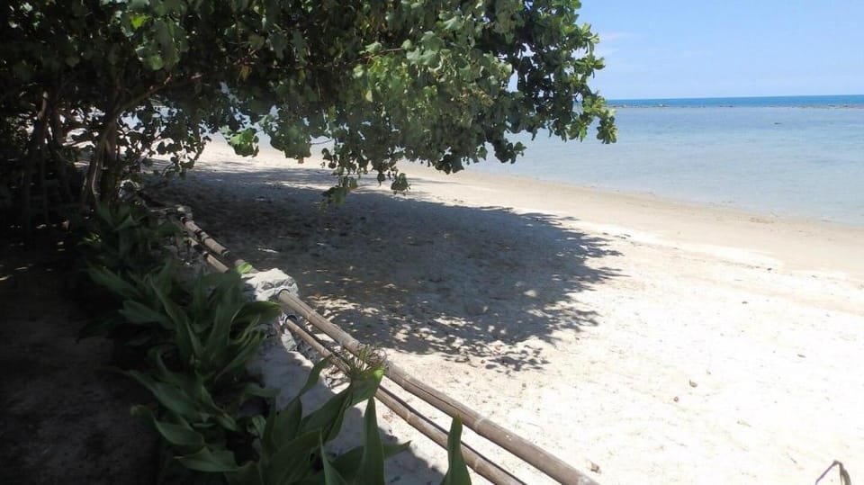 Four Bedroom Beach Front Villa Sea Breeze SDV229B Villa in Ko Samui