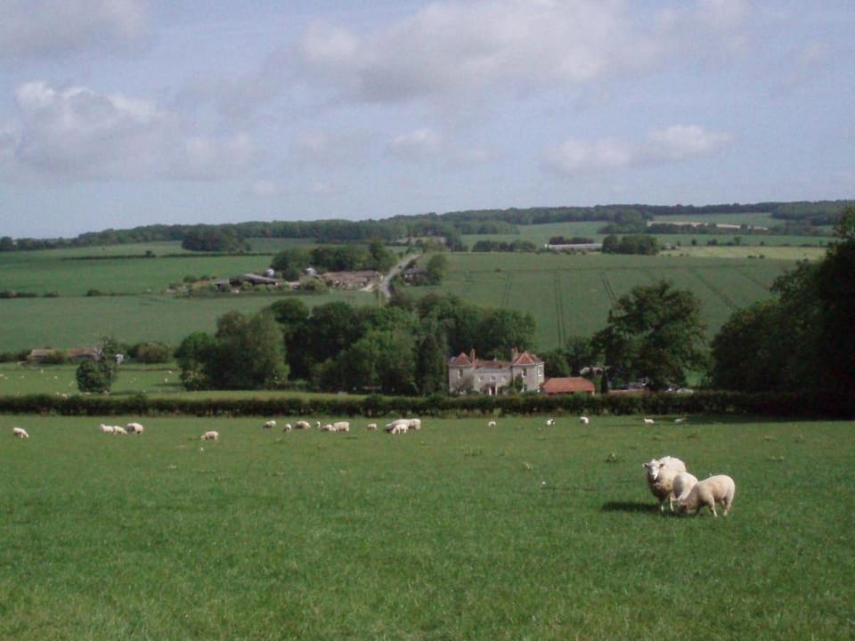 Marshwood Farm B&B Farm Stay in England