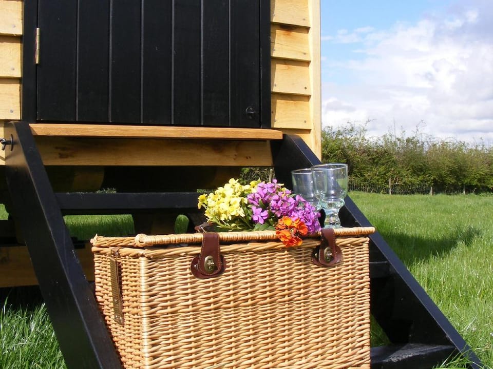 Marshwood Farm B&B Farm Stay in England