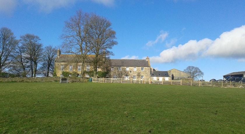 Hamsteels Hall Farm Stay in Lanchester