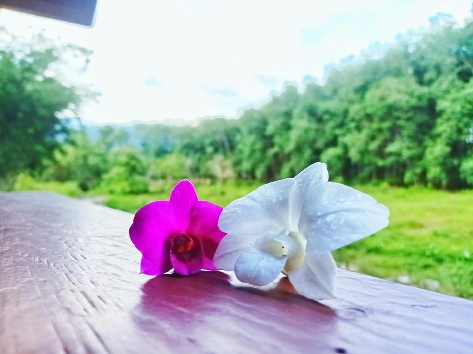 Close Vacation rental in Thailand