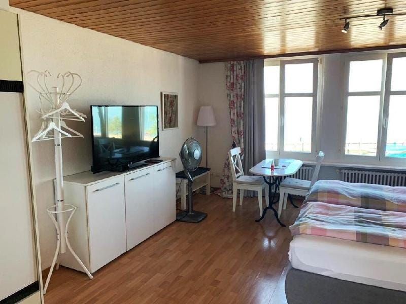 Sehr zentral gelegene Wohnung direkt am See Apartment in St. Gallen, Switzerland