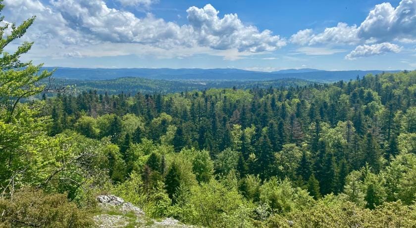 gite lac de vouglans Vacation rental in Jura