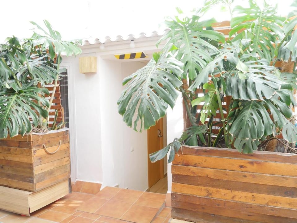 Nanit Rooms ibiza Bed and Breakfast in Santa Eularia des Riu