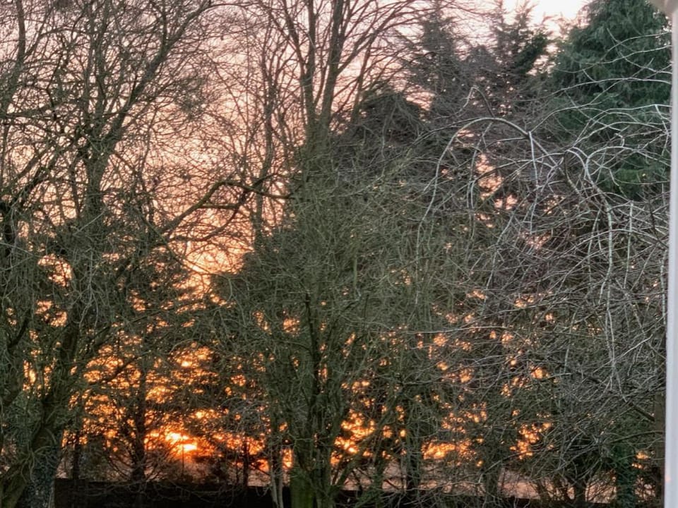 Aldercarr Hall Bed and Breakfast in South Norfolk District