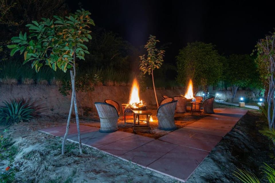 Jungle Cave Resort Hotel in Rajasthan