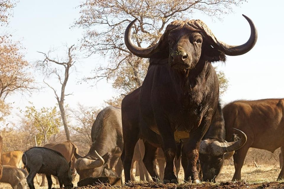 Ukuta Game Reserve Vacation rental in South Africa