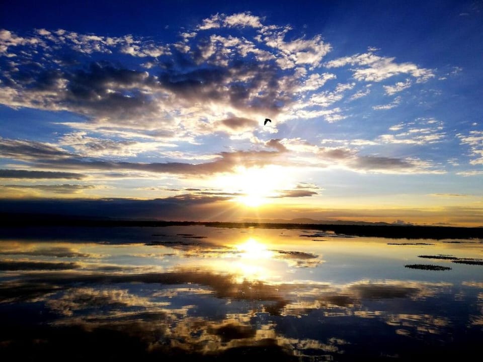 Alojamiento Flotante del Titicaca Vacation rental in Puno, Peru