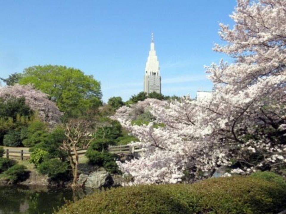 LION1001)Single and double bed with dining space Apartment in Shibuya