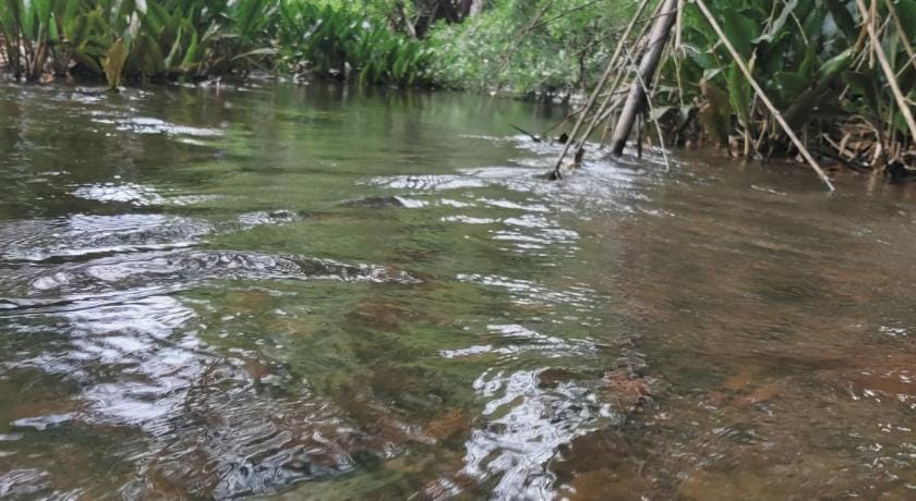 Aiyappa Home Stay Villa in Kerala