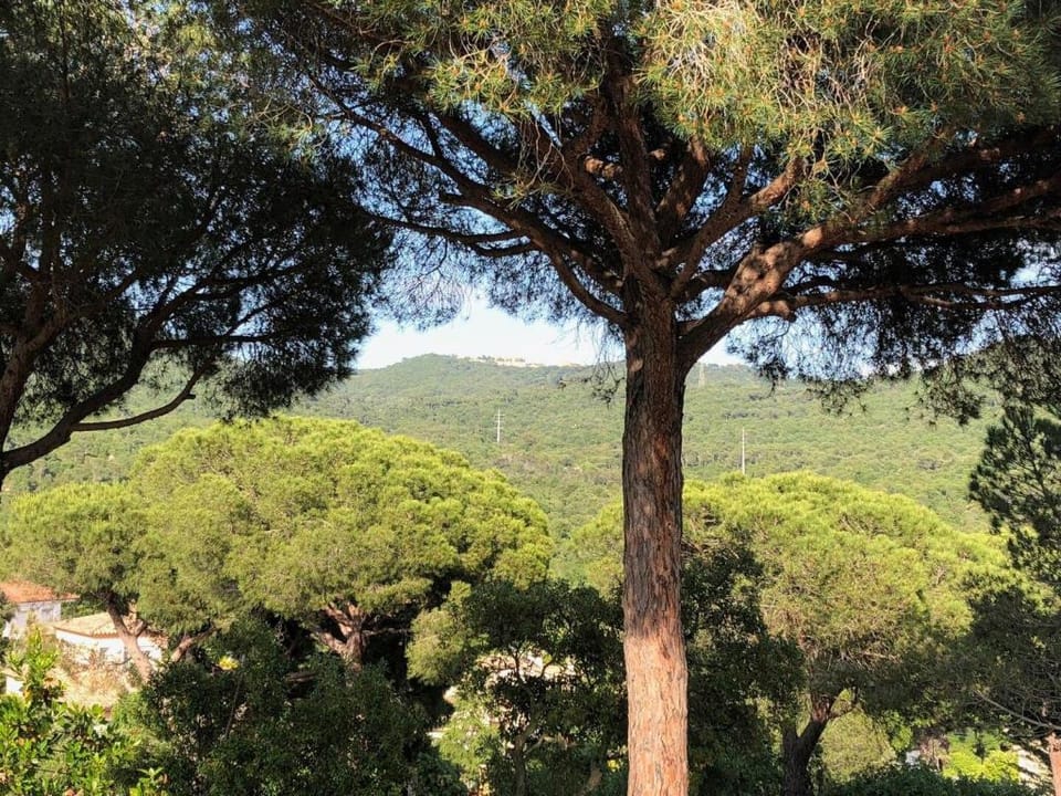 Sea près des golfs - Cerezo Vacation rental in Baix Empordà