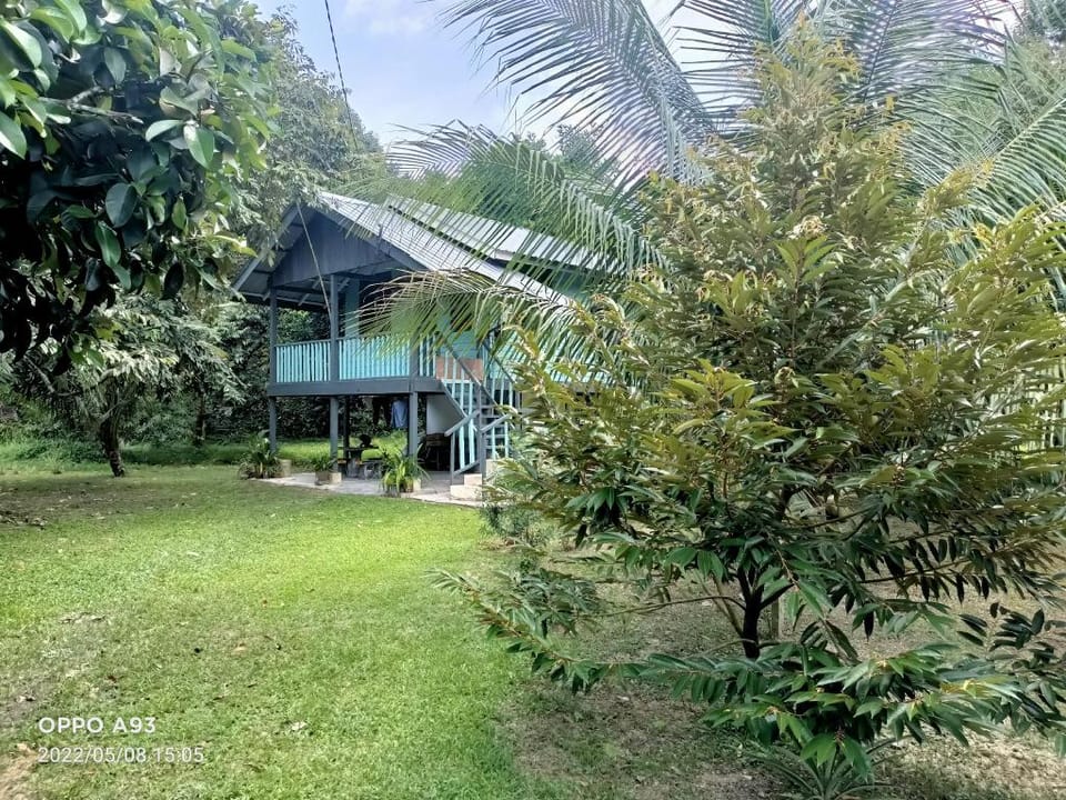 Rumah Kebun Tokwan Kulim Vacation rental in Kedah