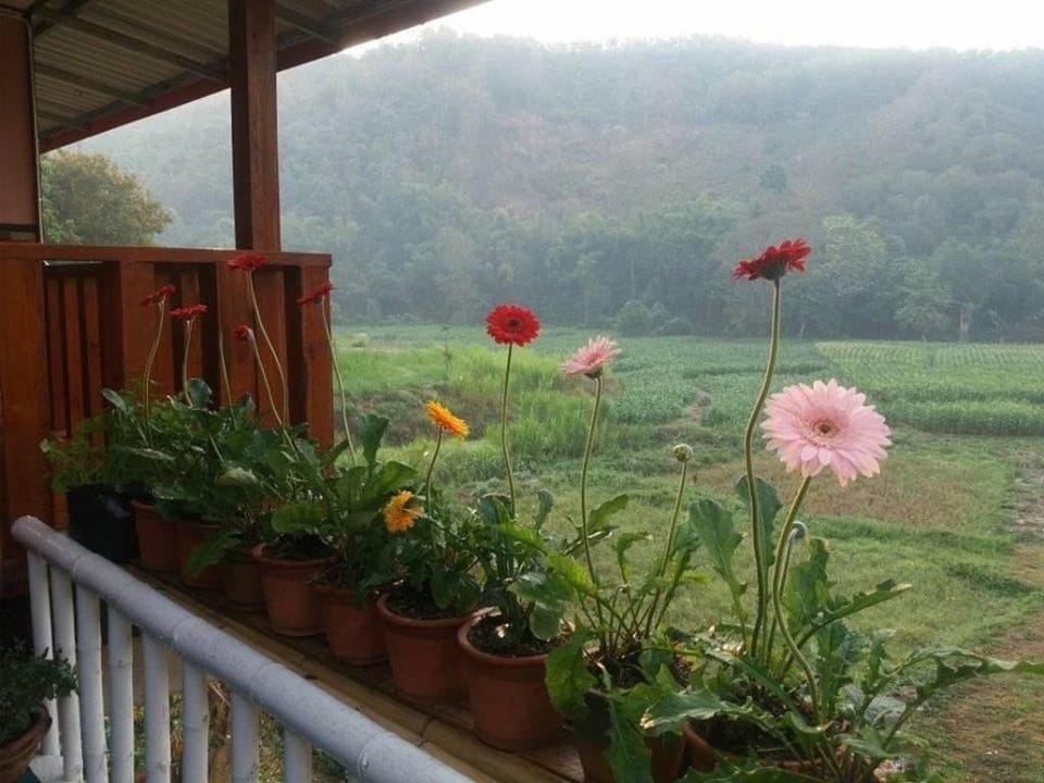Springwater Farm Homestay Nan Apartment in Laos