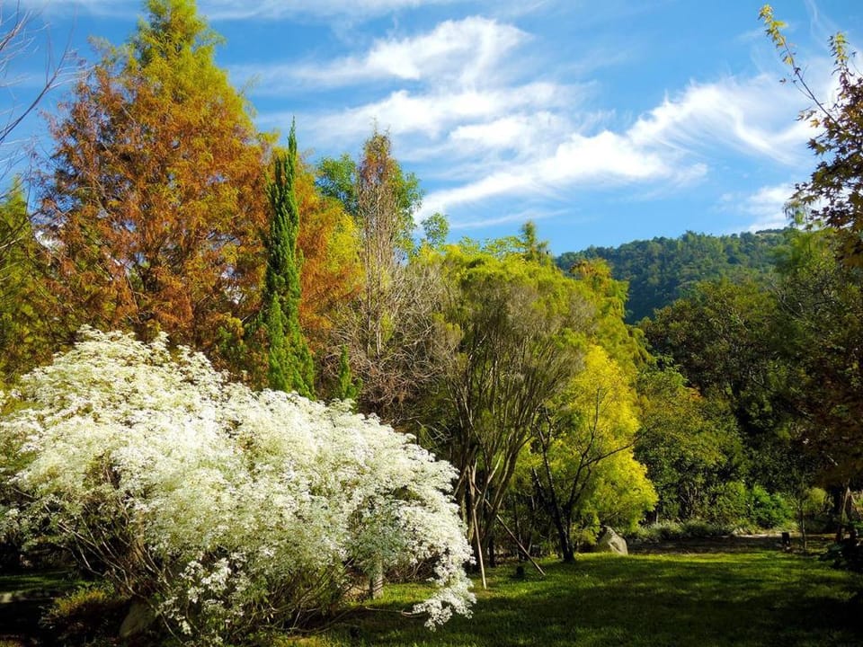 Full blossoms Garden House Bed and Breakfast in Taiwan, Province of China
