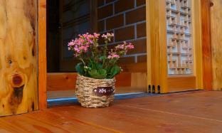 jeonju haesol hanogpensyeon - muryojosig, hanogmaeul nae wici Bed and Breakfast in South Korea
