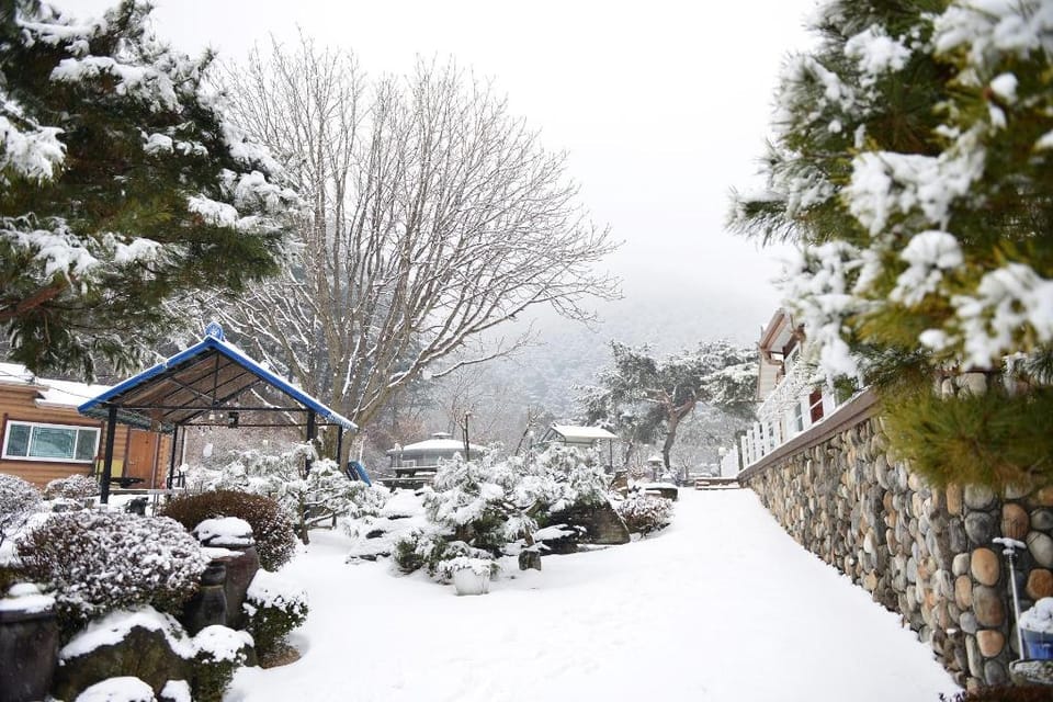 pensyeon hai Bed and Breakfast in Gyeonggi-do