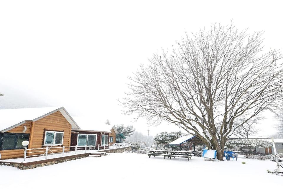 pensyeon hai Bed and Breakfast in Gyeonggi-do