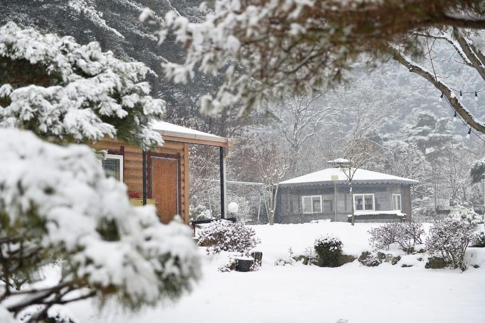 pensyeon hai Bed and Breakfast in Gyeonggi-do