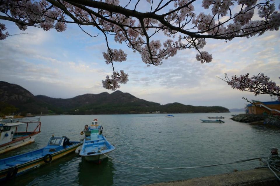 Buan bada yeohang pension Bed and Breakfast in South Korea