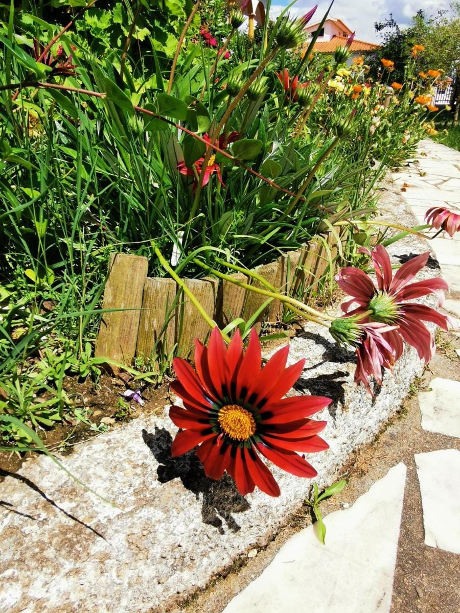 Casa das Portas Bed and Breakfast in Santarém District, Portugal