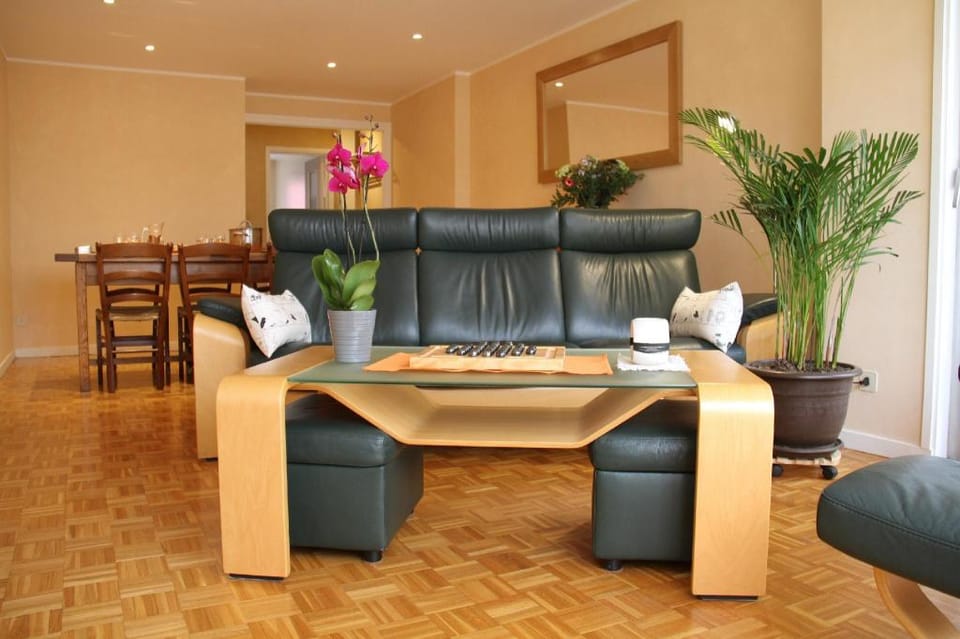 Au Lion d'Or Apartment in Auvergne-Rhône-Alpes