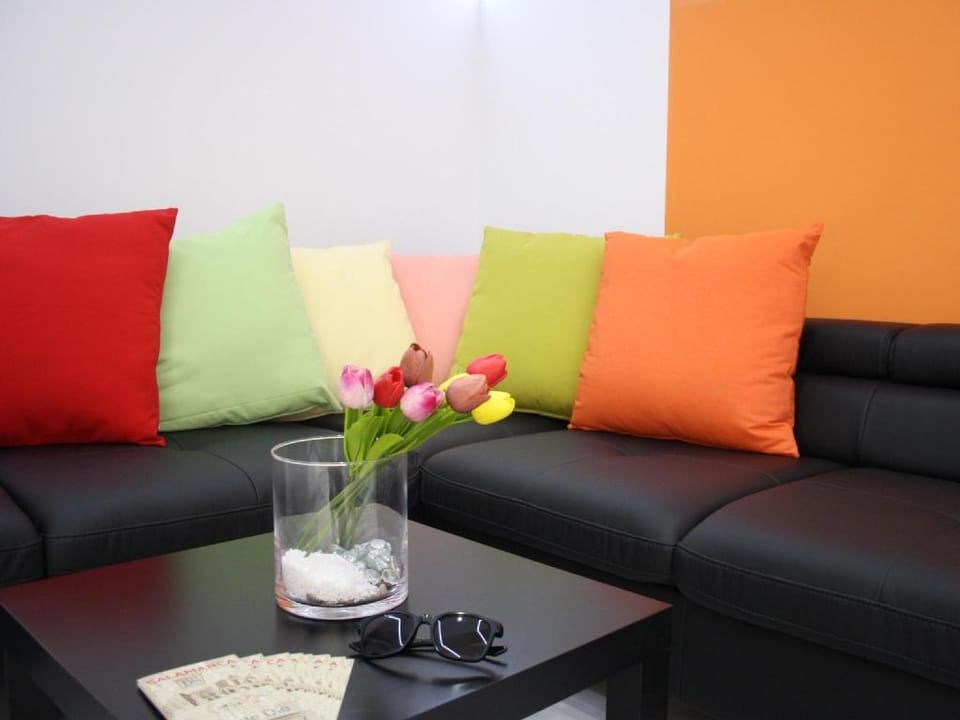 Smart-Tech Plaza Flat Apartment in Salamanca