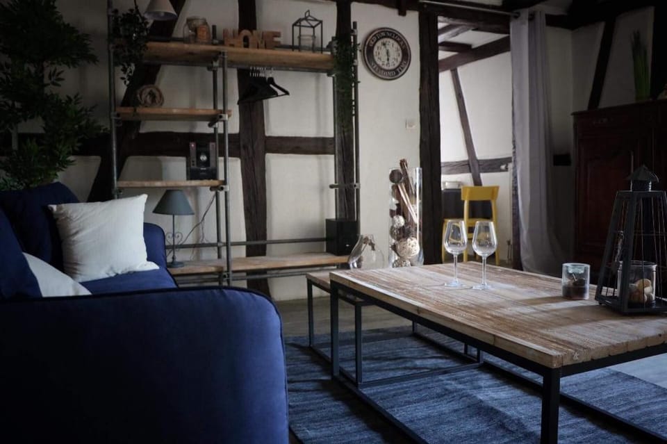 Sous les toits du Zinc - Climatisé Apartment in Colmar