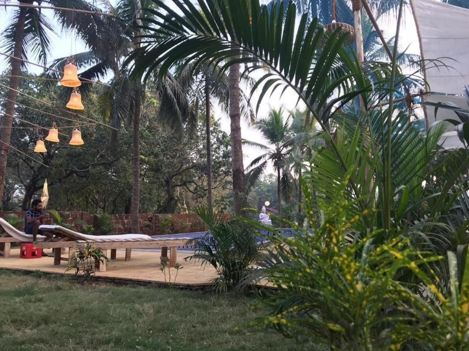 Couples Room Mandrem Goa  Apartment in Mandrem