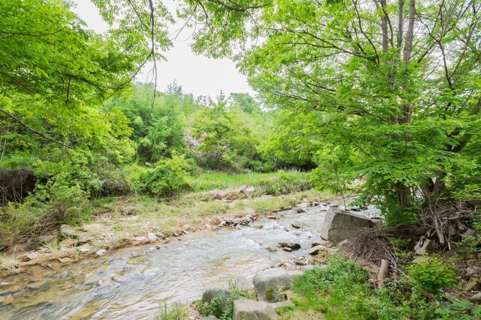 Bongpyeong Moolsori Pension Bed and Breakfast in South Korea