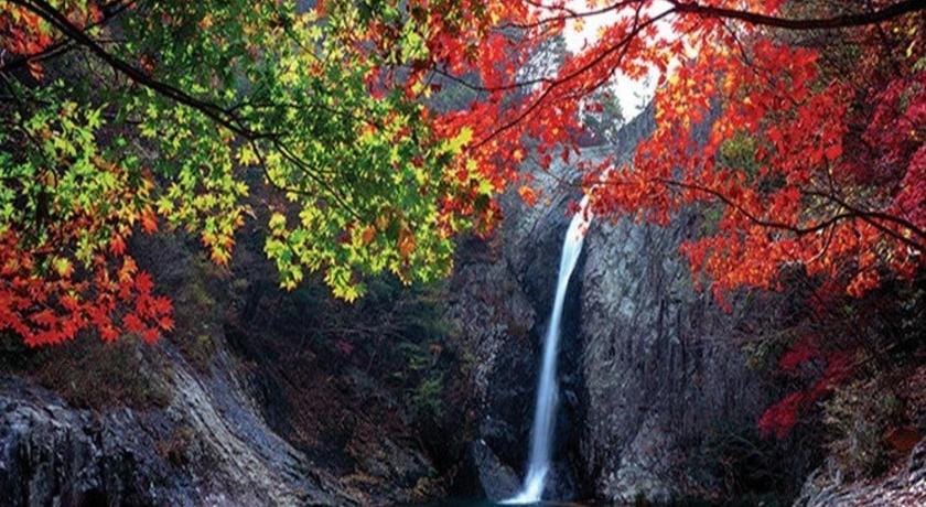 Yang Yang Naksan Euisangdae Pension Bed and Breakfast in South Korea