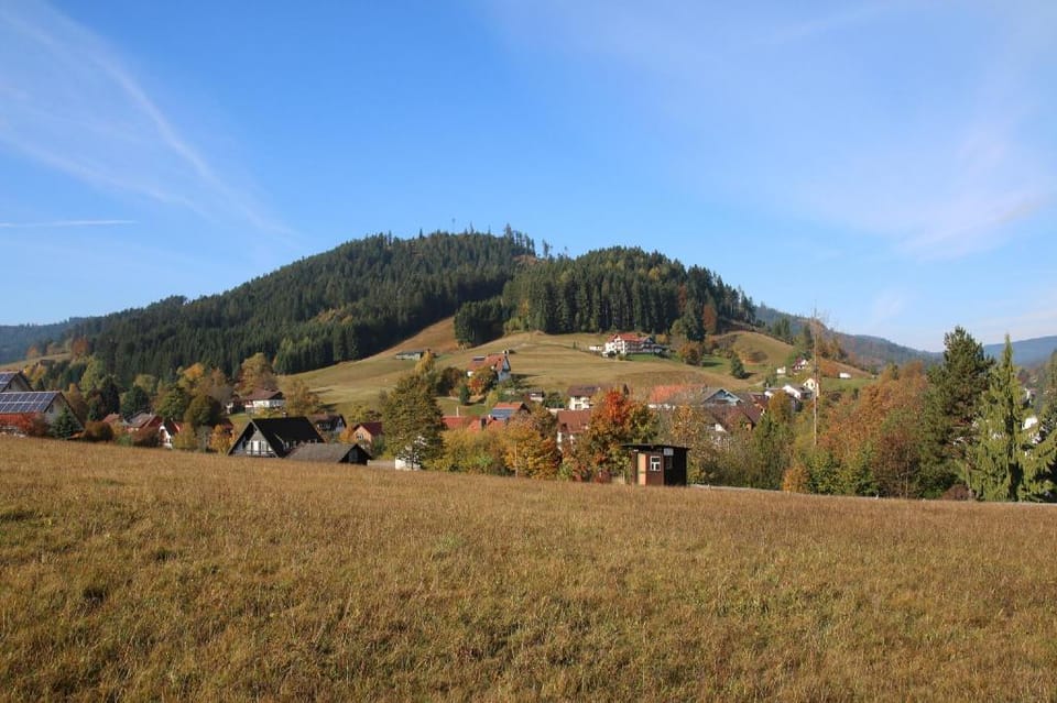 Luxus Landhaus Baiersbronn Apartment in Ortenau