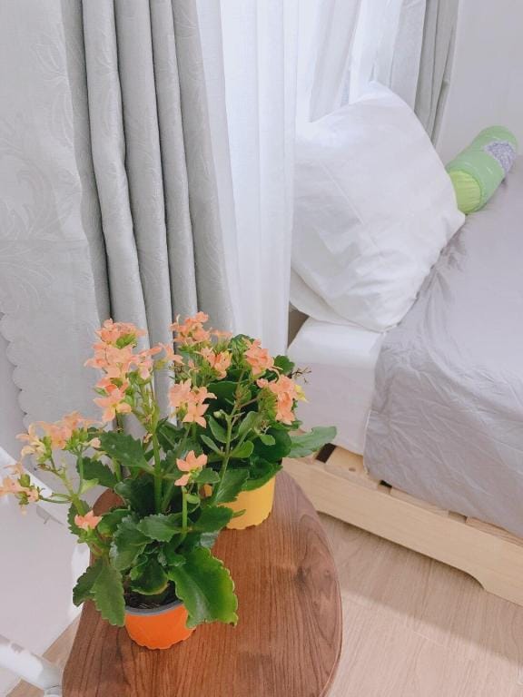 Yen Homestay Phu Yen - Private room - Double bed Apartment in Vietnam