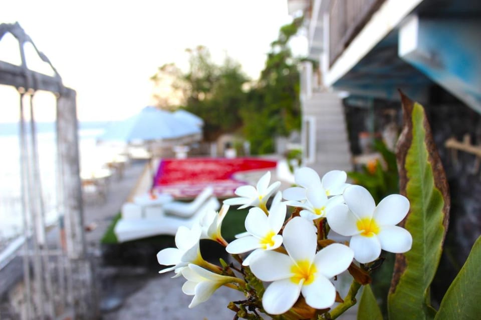 SUITE OCEAN BLUE Hotel in Nusapenida