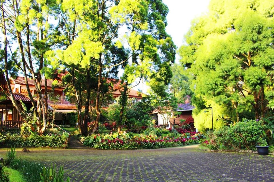 Erema Village - Rumah Kayu 1 Vacation rental in Cisarua