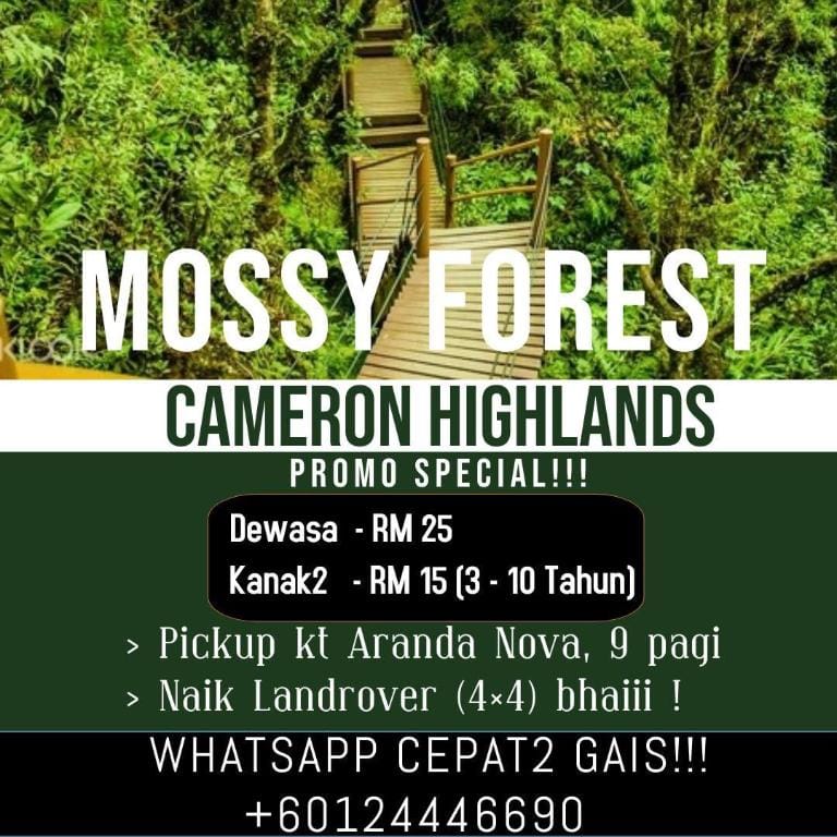 Mount Jasar Homestay 1 [5km/10mins toTea House) Apartment in Tanah Rata