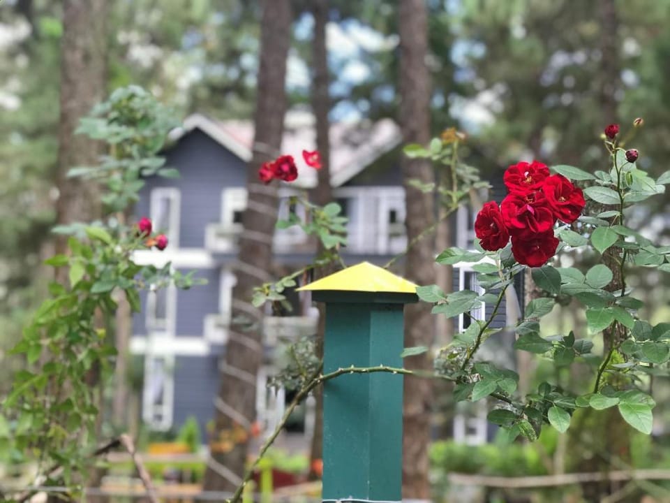 Village Hoa Hong  Villa in Dalat