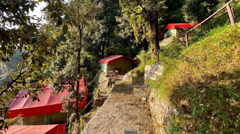 HOTs Glamp(whisperings Oaks Camp) Apartment in Uttarakhand