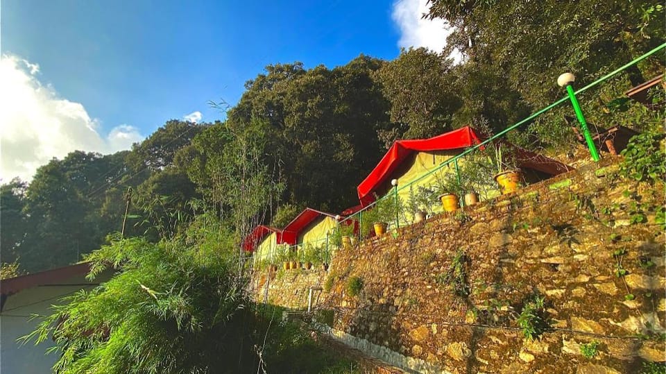 HOTs Glamp(whisperings Oaks Camp) Apartment in Uttarakhand