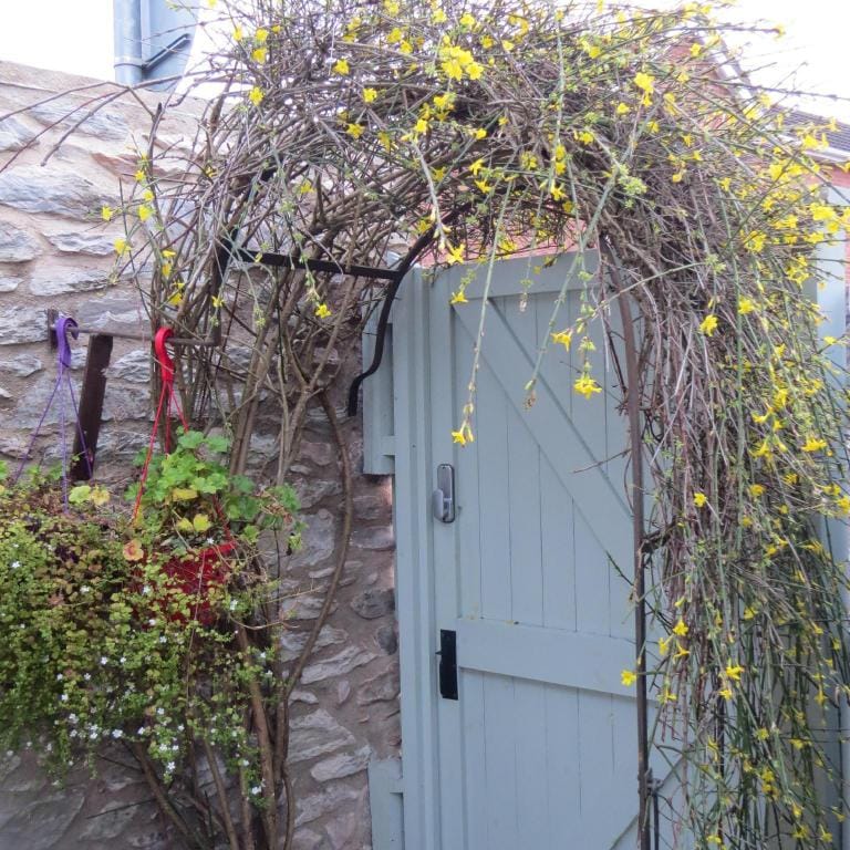 Frog Palace Vacation rental in Exeter