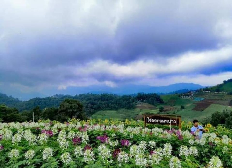 Easy to Mon jam No 3, Mae rim, Chiang Mai Villa in Thailand