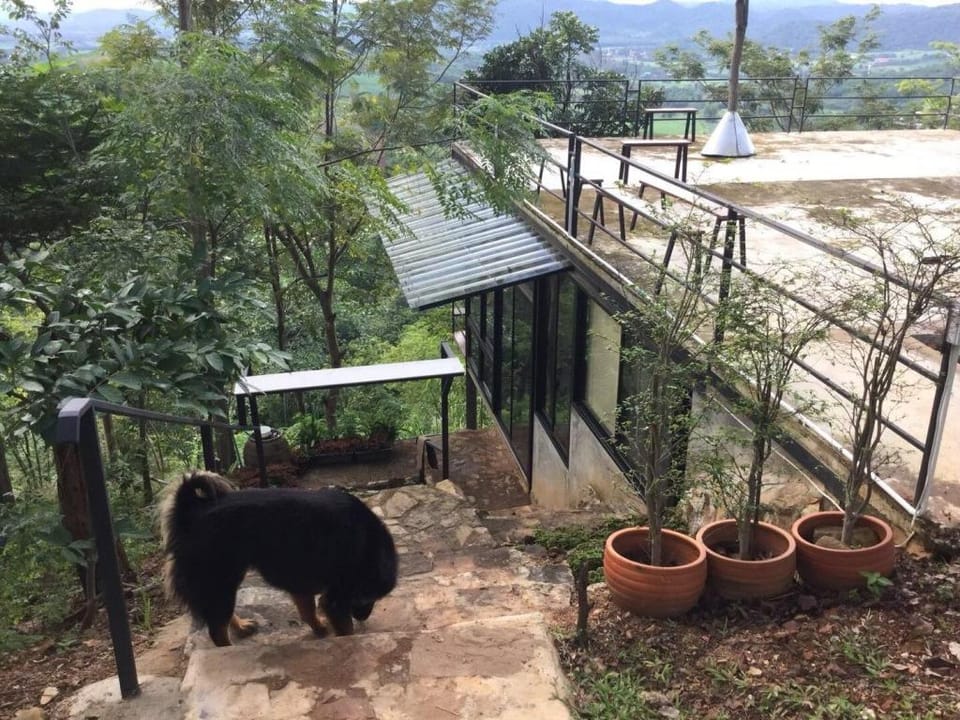 Phu Vilai Hill Khao Yai (ภูวิไล ฮิลล์ เขาใหญ่) Villa in Laos