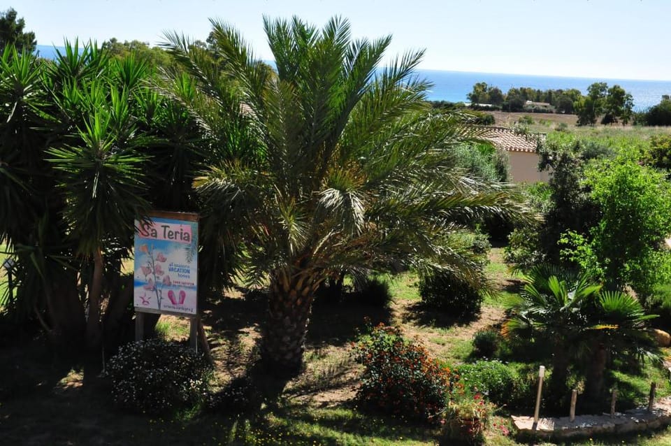 Apartment ''1'' for rent in Sardinia Apartment in Sardinia