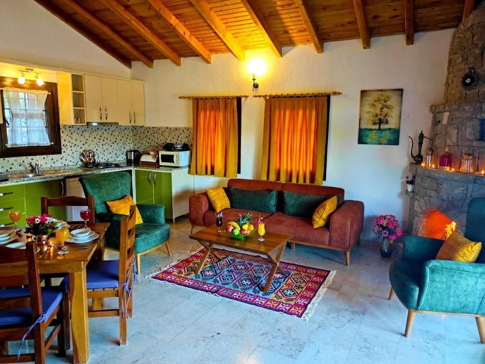 Villa Kayaköy 1 - Havuzlu Korunaklı Holiday Villas Villa in Muğla Province